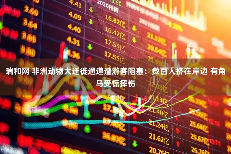 瑞和网 非洲动物大迁徙通道遭游客阻塞：数百人挤在岸边 有角马受惊摔伤