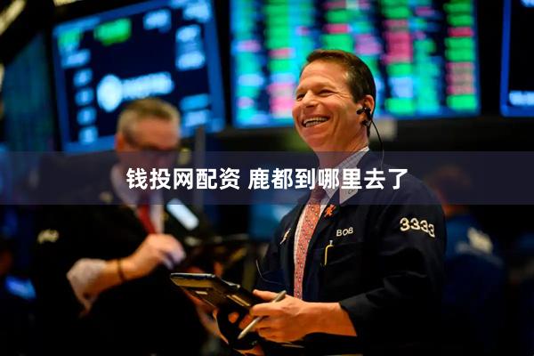 钱投网配资 鹿都到哪里去了